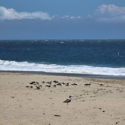 zhou18289288957's profile picture. 吹不出褶皱的平静日子也在闪闪发光