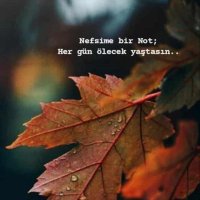 Mehmet N.B. (@mehmetnesim04) 's Twitter Profile Photo