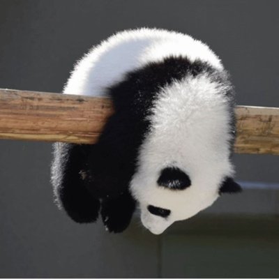 sgsgom_ Profile Picture