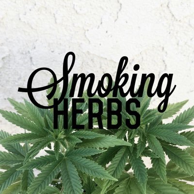 HerbalInhale's profile picture. 420