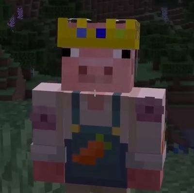 placehldrusna's profile picture. i love my streamers