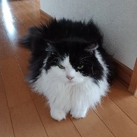 すぴか☀️ (@mr890uoaii54585) 's Twitter Profile Photo