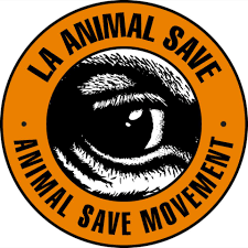 Member of the global @AnimalSaveMvmt. Sign 👉 @Plant_Treaty. Text PIGS to 66866 for weekly email!