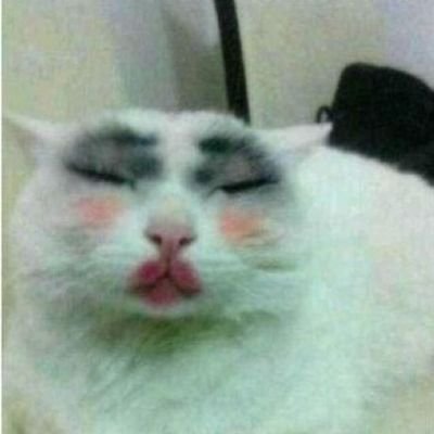 nongped_kabkab's profile picture. 