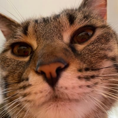 michidesu555's profile picture. お笑い ラジオ #snd