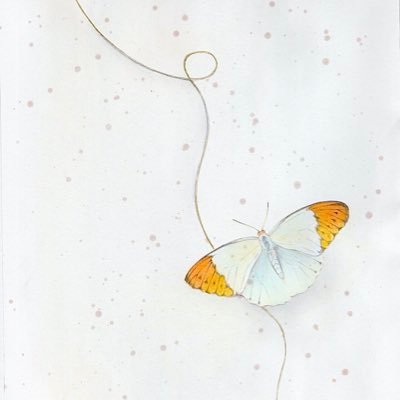 𝒇𝟑𝒉𝒊𝒕𝒐(𝑪𝒂𝒓𝒑𝒆𝒏𝒕𝒆𝒓𝑺𝒖𝒔𝒑𝒆𝒏𝒅𝒆𝒓) (@poem_f3hito