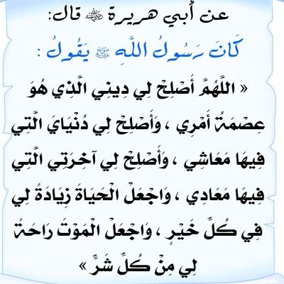 seifghaceb's profile picture. 