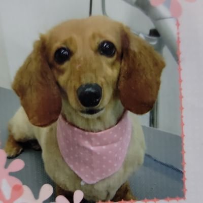 MuYou52442's profile picture. 