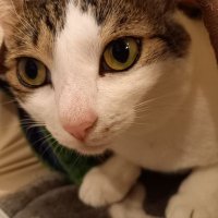 まこ🌏 (@masakomiracle) 's Twitter Profile