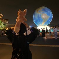 メープル (@maplemaimai1103) Twitter profile photo