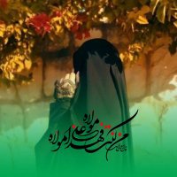 Nasime Bahari 🇵🇸🌷🇮🇷(@banoyebahari) 's Twitter Profile Photo