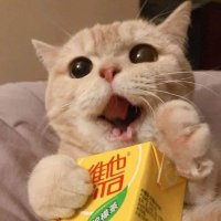 LOLX (@lolxcook) 's Twitter Profile Photo LOLX (@lolxcook) 's Twitter Profile Photo
