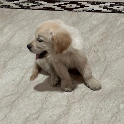 DrKhemka's profile picture. Robotic Joint Replacement Surgeon/ Proud Sanatani/ Bharat above everything/ Nationalist / PS5 / God of war / Manchester City FC