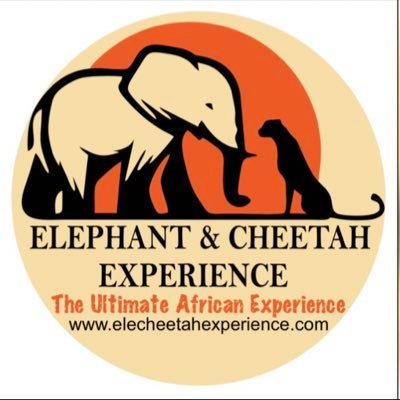 The Elephant & Cheetah Experience official 𝕏 page. bookings@elecheetahexperience.com  +263 7 77324847 marketing@elecheetahexperience.com +263 7 75033893