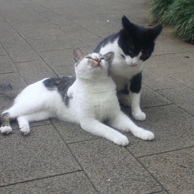 日常は投資と筋トレがメイン
敬老はカルト宗教です、高齢であるという”だけ”で敬うのはやめましょう
高齢者分野を中心とした社会保障費負担の酷い世代間格差を訴える【次世代運動】 https://t.co/5I991b3nj5
を応援しています
