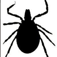 O K (@theoa0815) 's Twitter Profile