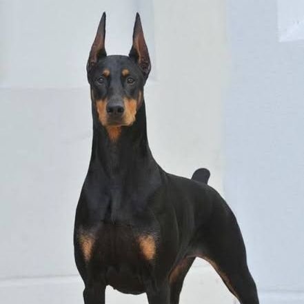 pppp9999k's profile picture. 