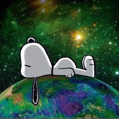 OhPalmenbaum's profile picture. 