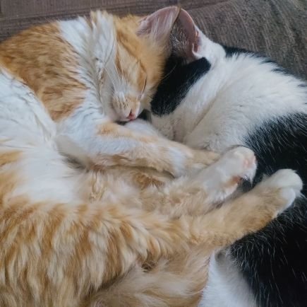 Leny_Verghese's profile picture. 