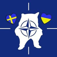 steph stags🌻💙💛⬆️ (@shebastags) 's Twitter Profile