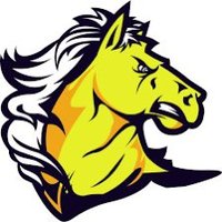 Northern Illinois Stampede Baseball (@nilstampede) 's Twitter Profile