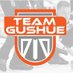 Team Gushue (@TeamGushue) Twitter profile photo