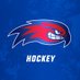 UMass Lowell Hockey (@RiverHawkHockey) Twitter profile photo