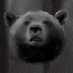 Big Ol Bear (@BearbearRarrrr) Twitter profile photo