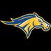 Monroe College Mustangs (@MonroeMustangs) Twitter profile photo
