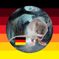 Addi Hausratte (@addi_haushund) 's Twitter Profile