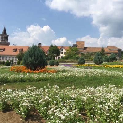 rina95155446's profile picture. お得情報、キャンペーン、ポイ活を活用し節約生活してます🥺やりだしたらハマりますね！楽しく節約生活を👛