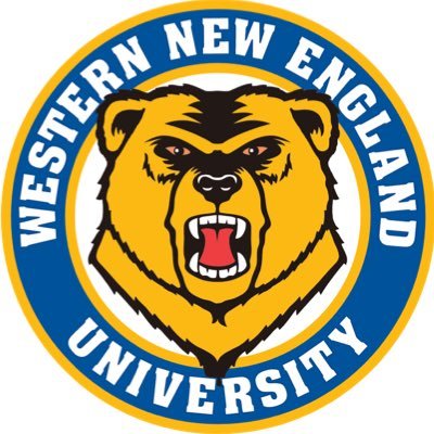 @WNEUniversity’s @NCAADIII Men’s Ice Hockey team, representing the @WNE_GoldenBears in the @CCC_Sports Conference #EarnIt | #PaintItGold