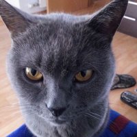 Ethel (@estherfv75) 's Twitter Profile Photo Ethel (@estherfv75) 's Twitter Profile Photo
