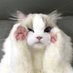 myfembb (@myfembb) Twitter profile photo myfembb (@myfembb) Twitter profile photo