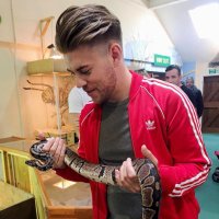 Jamie Rogers (@jamiejro32) 's Twitter Profile