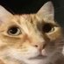 qwerty211 (@qwerty21113979) Twitter profile photo qwerty211 (@qwerty21113979) Twitter profile photo
