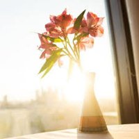 Meixi。 (@initially93) 's Twitter Profile
