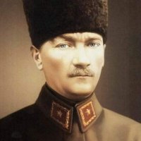 Grey Wolf (@muratmeric1903) 's Twitter Profile