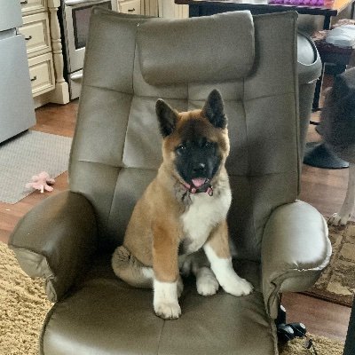 JCWhetz's profile picture. 
