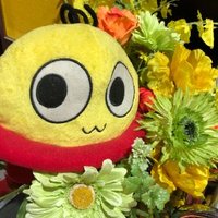 カバっちょ店長 UFO向島/山陰唯一のハイレート専門店】 (@mukoujima_ufo) 's Twitter Profile