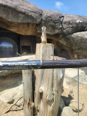 3nZTg46h6C81333's profile picture. 