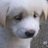 Pianoman_08's profile image