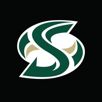 The official twitter page of the Sacramento State Hornet Gymnastics team. 2016 MPSF CHAMPIONS. #GoHornets #StingersUp