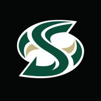 Hornet Gymnastics (@sacstgymnastics) 's Twitter Profile