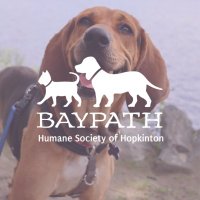 Baypath Humane Society (@baypathhumane) 's Twitter Profile