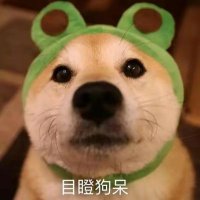 goudan (@zizi47682) 's Twitter Profile