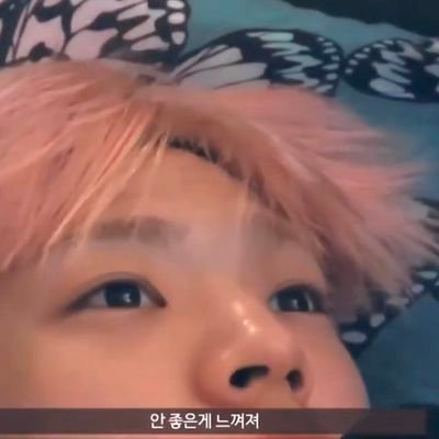 풀さんのプロフィール画像
