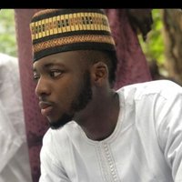 H.E Bashir Ayinde Aremu (@bashirayinde145) 's Twitter Profile