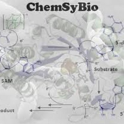 Enzyme mechanisms, Structural Biology, Microbiome @ Université Paris-Saclay, @UnivParisSaclay, INRAE, @INRAE_France, ChemSyBio Laboratory