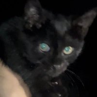 Lagz (@lagzgfx) 's Twitter Profile Photo